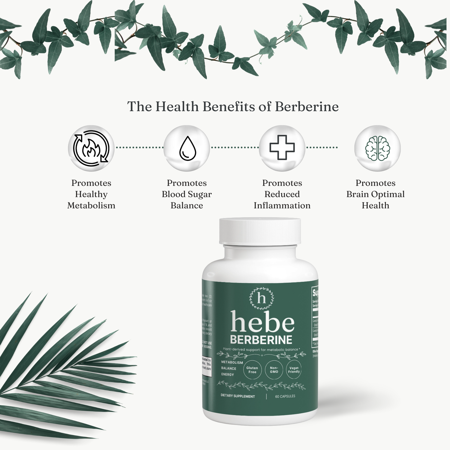 Longevity Berberine
