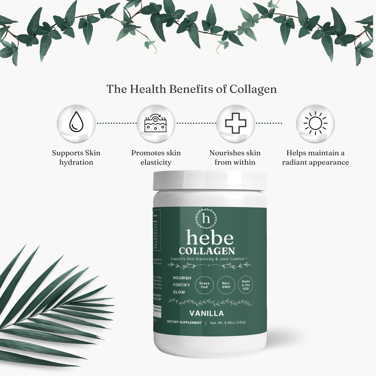 Immunity Collagen (Vanilla)