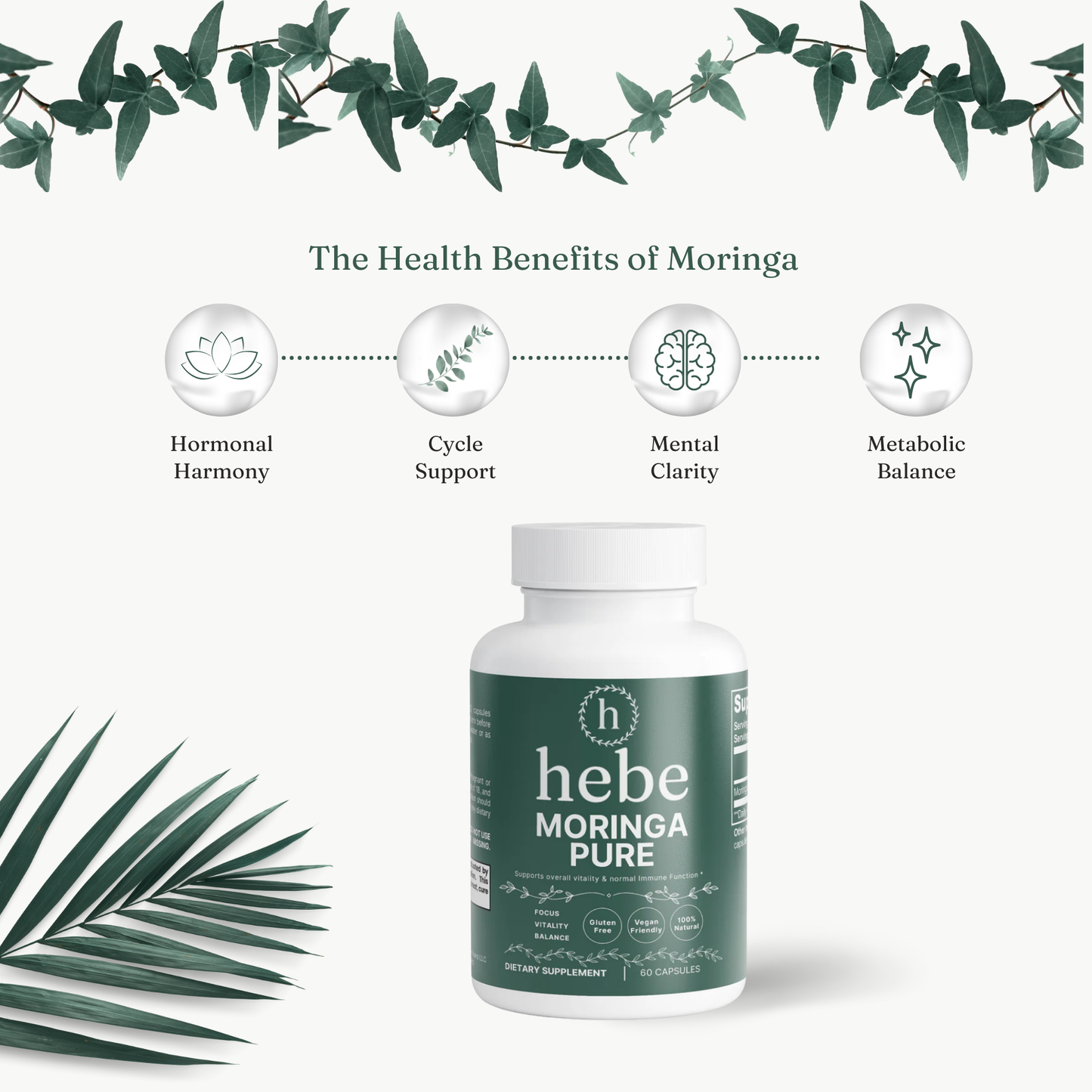 Nourish Moringa