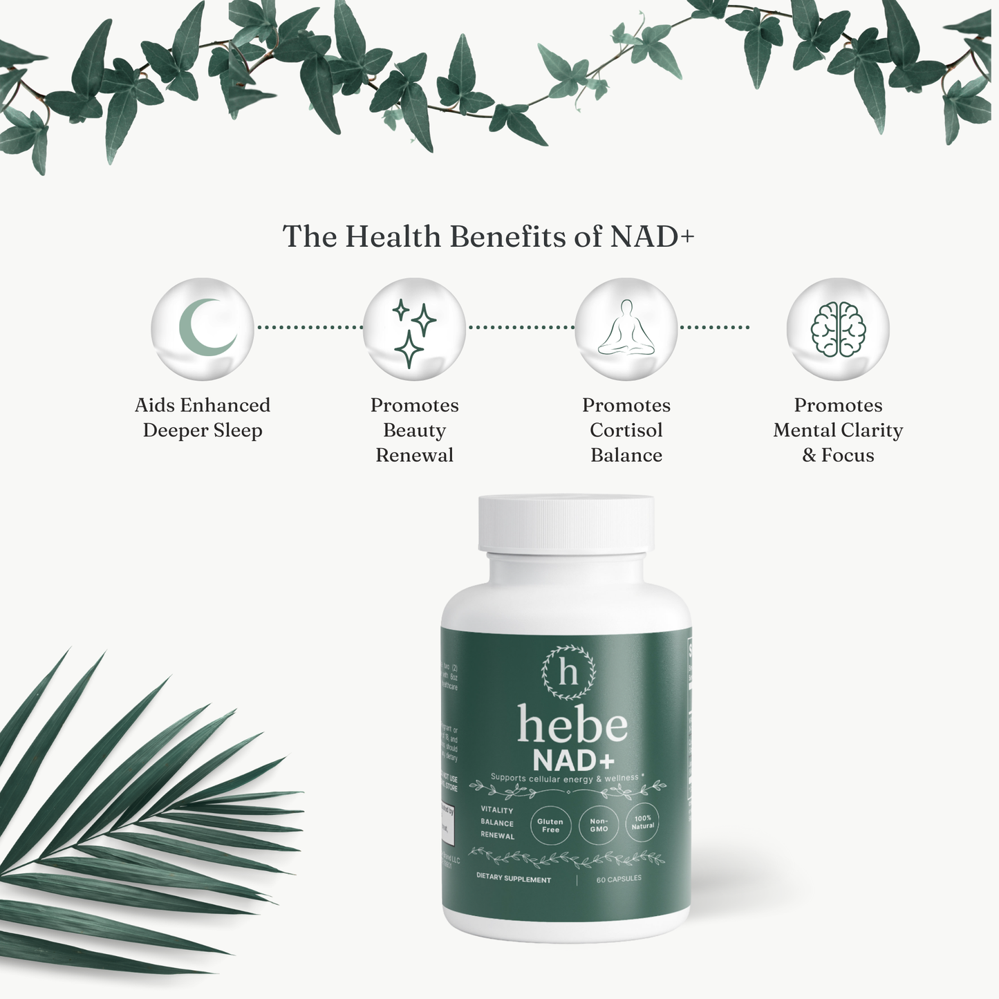 Restore NAD+