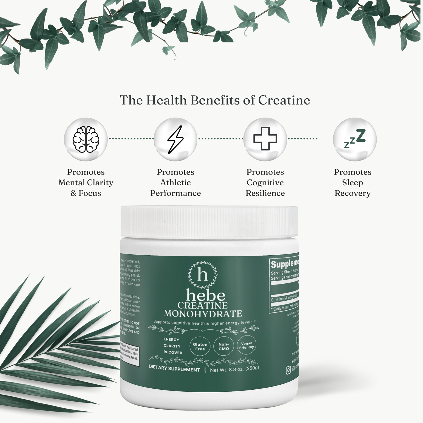 Cognition Creatine