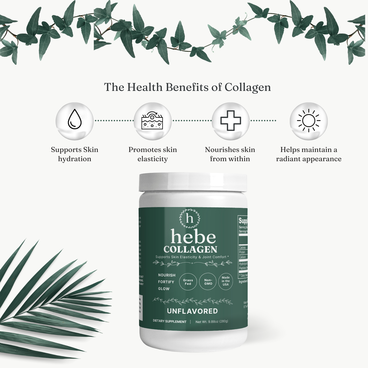 Immunity Collagen